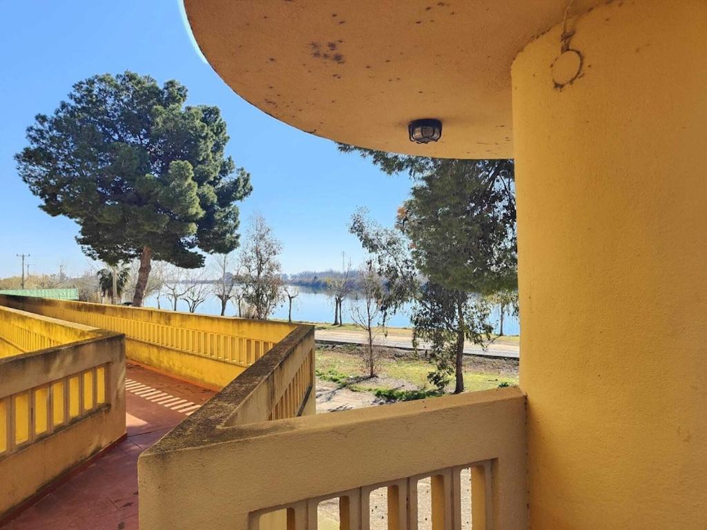 Superbe Appartement Terrasse Entierement Renove Au Bord De L'Ebre Deltebre Bagian luar foto