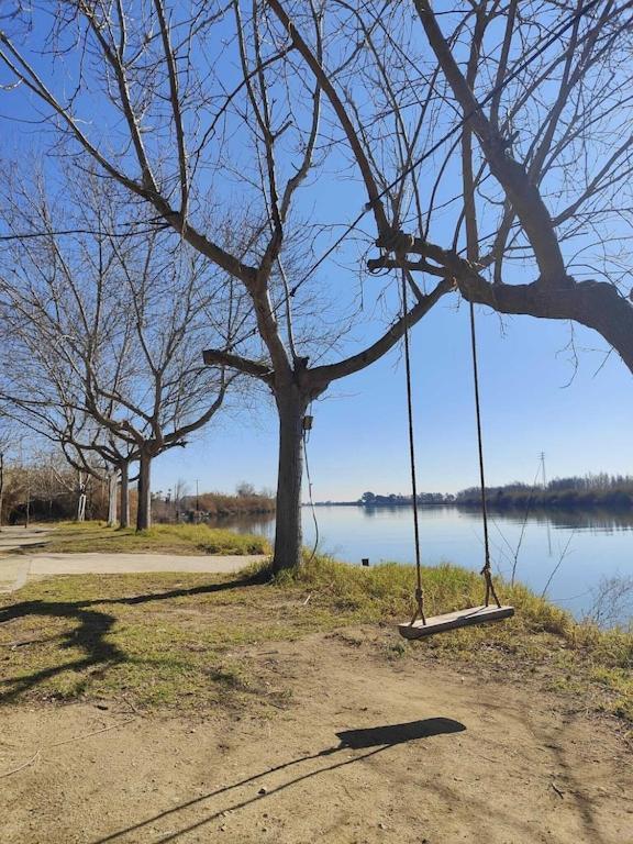 Superbe Appartement Terrasse Entierement Renove Au Bord De L'Ebre Deltebre Bagian luar foto